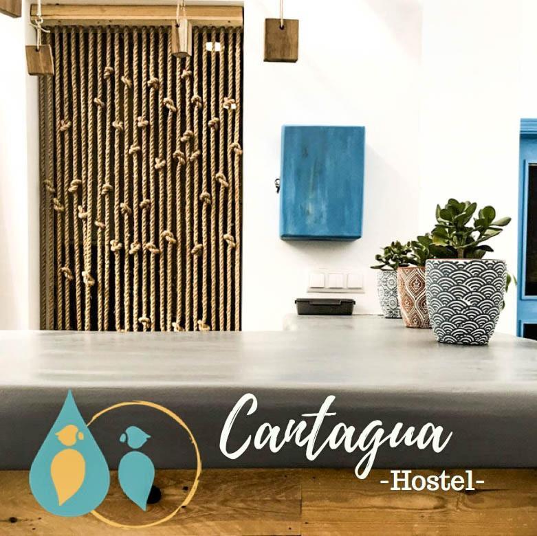 Cantagua Hostel Валенсія Екстер'єр фото